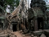 070307taprohm51.jpg