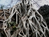 070307taprohm58.jpg