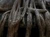 070307taprohm63.jpg