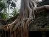 070307taprohm65.jpg