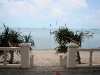 070313kosamui01.jpg