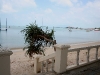 070313kosamui02.jpg