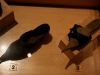 080801_batashoe_toronto11.jpg