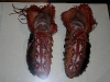 080801_batashoe_toronto30.jpg