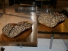 080801_batashoe_toronto35.jpg
