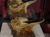 080801_batashoe_toronto36.jpg
