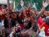 080802_caribana42.jpg