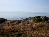 080816_vancouverisland16.jpg