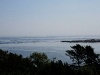 080816_vancouverisland17.jpg