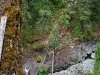 080818_sooke03.jpg