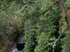 080818_sooke06.jpg