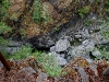 080818_sooke08.jpg