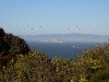 080827_goldengate03.jpg