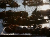 080901_fishermans_wharf24.jpg