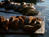 080901_fishermans_wharf28.jpg
