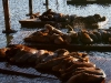 080901_fishermans_wharf41.jpg