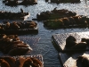 080901_fishermans_wharf42.jpg