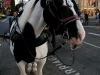 080901_fishermans_wharf44.jpg