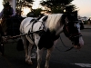 080901_fishermans_wharf50.jpg