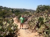 080904_corona10.jpg