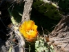 080904_corona12.jpg