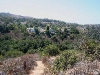 080904_corona15.jpg