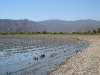 080908_lake_elsinore06.jpg