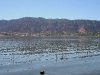080908_lake_elsinore07.jpg