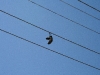 080908_lake_elsinore14.jpg