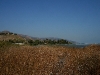 080922_malibu01.jpg