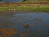 080922_malibu02.jpg