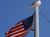 080922_malibu16.jpg