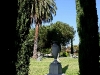 081009_hollywoodforever09.jpg