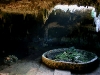 081016_cenotes_homun18.jpg