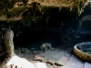 081016_cenotes_homun20.jpg