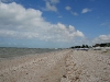 081018_celestun03.jpg