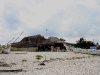 081018_celestun06.jpg