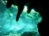 081111_cavediving04.jpg