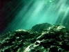 081111_cavediving05.jpg