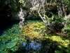 081111_grandcenote01.jpg