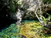 081111_grandcenote02.jpg