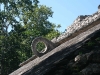 081112_coba05.jpg