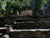 081112_coba13.jpg