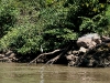 081124_canon_del_sumidero12.jpg