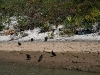 081124_canon_del_sumidero16.jpg