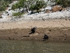 081124_canon_del_sumidero17.jpg