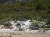 081124_canon_del_sumidero18.jpg