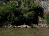 081124_canon_del_sumidero25.jpg