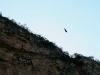081124_canon_del_sumidero28.jpg
