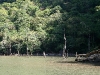 081124_canon_del_sumidero30.jpg